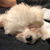 腐女子でなにが悪いさんのアイコン画像