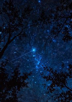 マフィアグループ「VOISING」