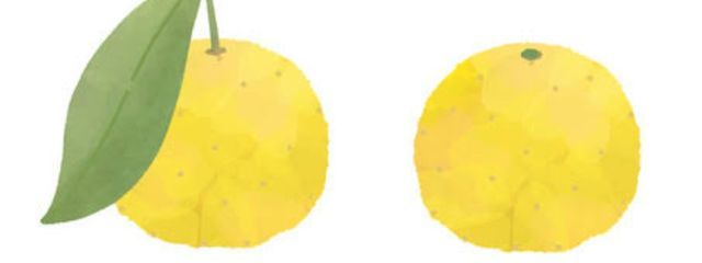 MNRYZさんの壁紙画像