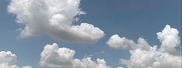 SANAさんの壁紙画像