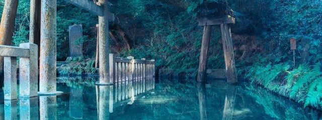 みるくさんの壁紙画像