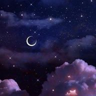 蓮月さんのアイコン画像