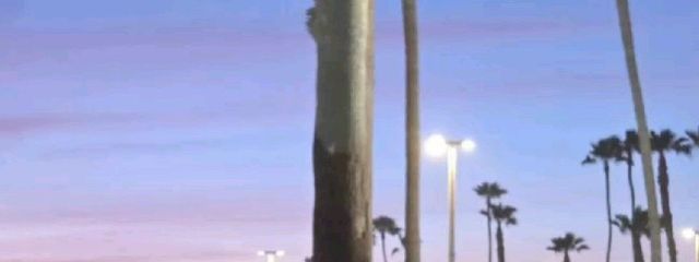 ののさんの壁紙画像