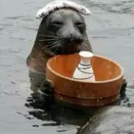 テライトさんのアイコン画像