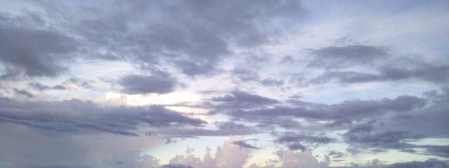 Rnさんの壁紙画像