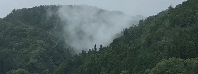 たこ焼き🎸🎶🍣(たっちゃん)停止気味さんの壁紙画像