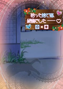 拾 っ た 捨 て 猫 、絶 倫 で し た ── ♡ 🔞【 💙×💗 】