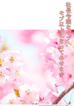 社長令嬢なモブ、モブ以上になってみせます