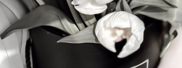 #　.　ゐ ぅ を 。さんの壁紙画像