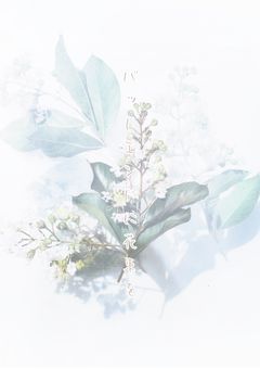 バットエンドに花束を