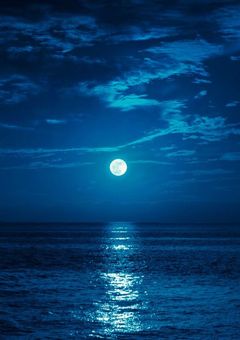 自分で輝く星たちに、