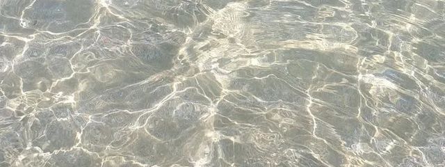 Ⅶ(低浮上)さんの壁紙画像