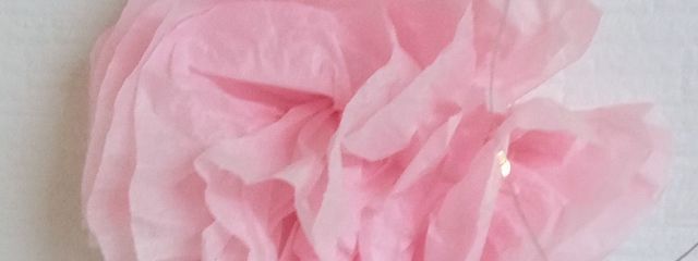 momoさんの壁紙画像