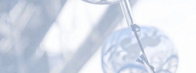 shiho*ponzu(_ _).｡o○ (しばらく更新停止さんの壁紙画像