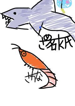 k氏せんよー