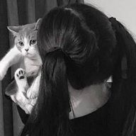 𝘙 𝘌 𝘕 𝘈 ❔さんのアイコン画像