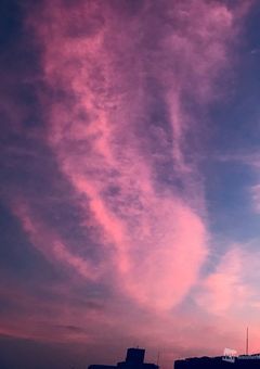 君といれる奇跡