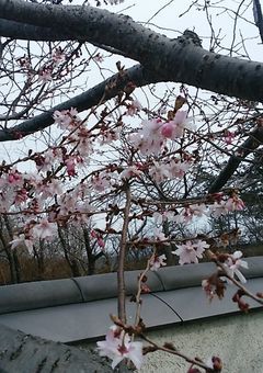 とーくるーむ