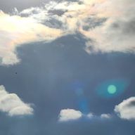 ピクミンさんのアイコン画像