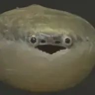 　(・∀・)さんのアイコン画像