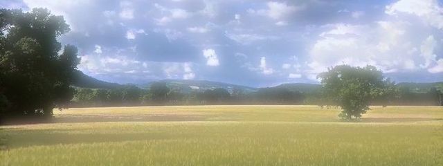 시에라　ｽｶｯ🌱🌱さんの壁紙画像