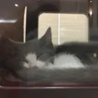 MANAさんのアイコン画像