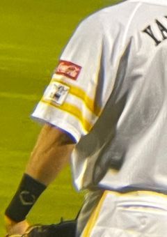 ⚾️雑談部屋⚾️