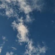 りょかさんのアイコン画像