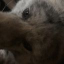 雷銅優樹菜ＤЁ━d(ゝω･´○)━ＳЦ!