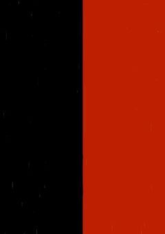 『歩けないお前』と「色がないアイツ」