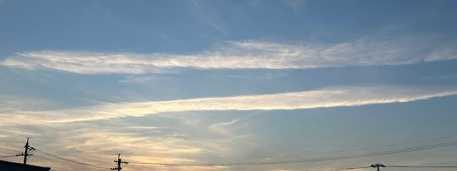 お茶だー！🍵さんの壁紙画像