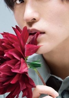 君の彼氏になりたい