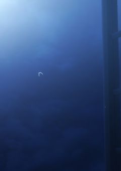 宣伝！コメント部屋