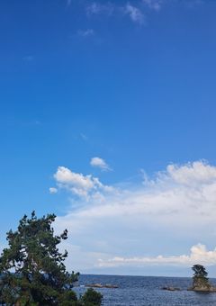 ひなひなが帰ったよ〜！