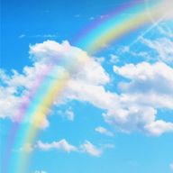 ステラさんのアイコン画像