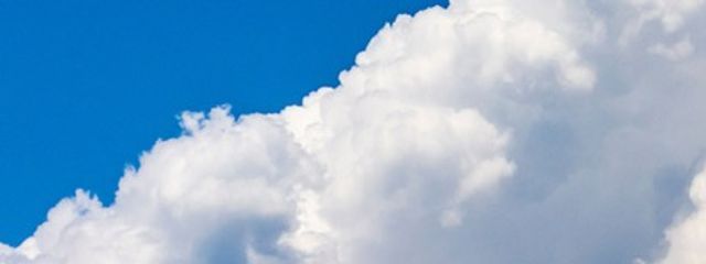 蜜柑🍎♪🌺さんの壁紙画像