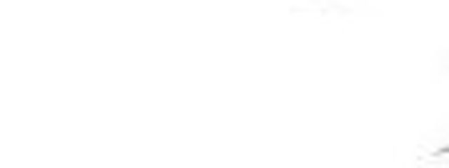  兎 月さんの壁紙画像