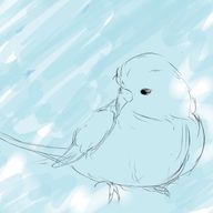 せみさんのアイコン画像