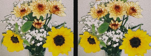 🦋さんの壁紙画像