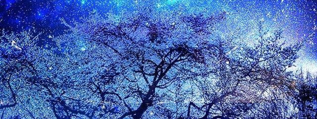 凪/Nagi　🖤🕯️🌹さんの壁紙画像