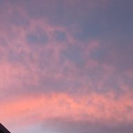 そみぃさんのアイコン画像