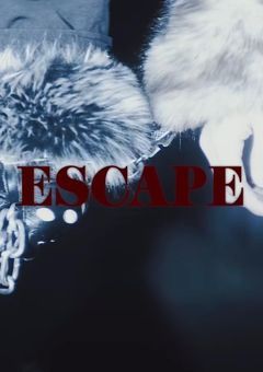 𝐒𝐞𝐜𝐫𝐞𝐭 𝐫𝐨𝐨𝐦 .