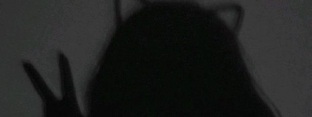 むうさんの壁紙画像