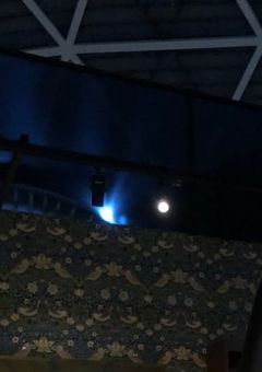 シクフォニのマネージャーさんは…?!