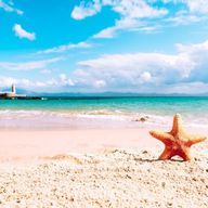 クリームソーダ「活動停止中」さんのアイコン画像