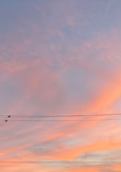 叉露狐の雑談部屋