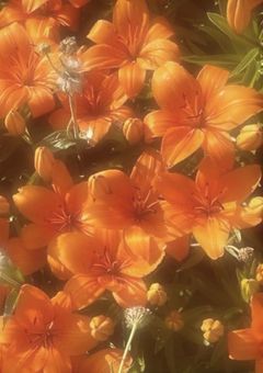 禁断の恋┈┈3B×康二の恋物語♡