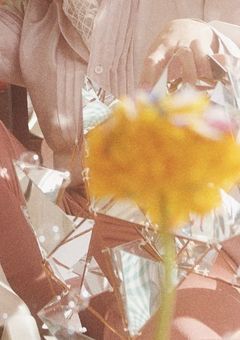 好きです。誰よりも、何よりも。