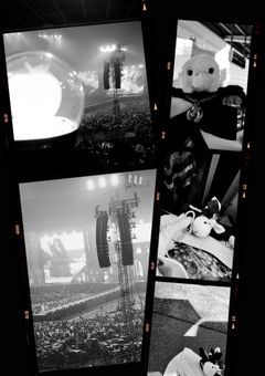 LIVE Diary 