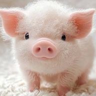 nananinogonbei2さんのアイコン画像